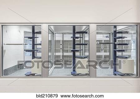 Stock Photo - Glass viewing area windows of empty animal shelter. Fotosearch