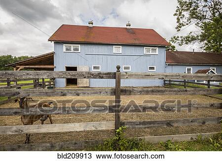 Stock Image - Goat in pen on farm. Fotosearch