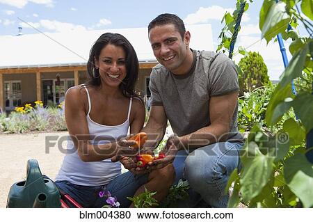 Hispanic couple picking peppers in garden View Large Photo Image Stock Image - Hispanic couple picking peppers in garden. Fotosearch