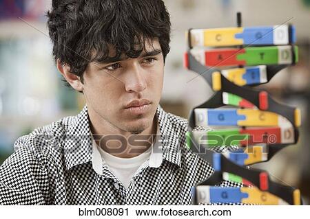 Stock Image - Hispanic high school student looking at science model. Fotosearch