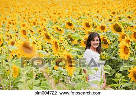 Stock Image - Hispanic woman standing in field of sunflowers. Fotosearch
