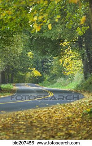 Stock Photograph - Historic Columbia River Highway. Fotosearch