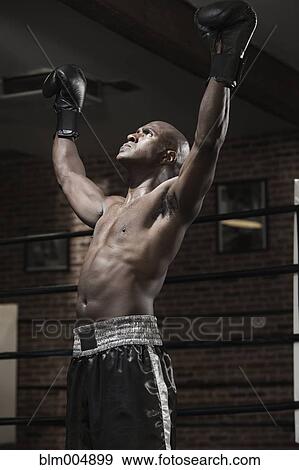 Intense African boxer with arms raised View Large Photo Image Stock Photo - Intense African boxer with arms raised. Fotosearch