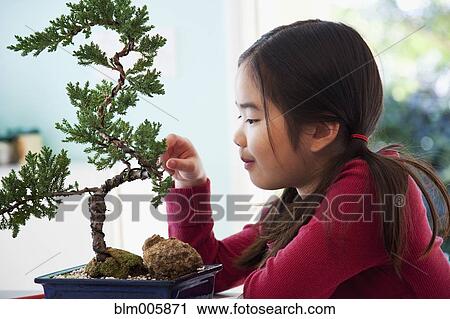 Stock Image - Japanese girl looking at bonsai tree. Fotosearch