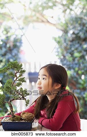 Stock Image - Japanese girl looking at bonsai tree. Fotosearch