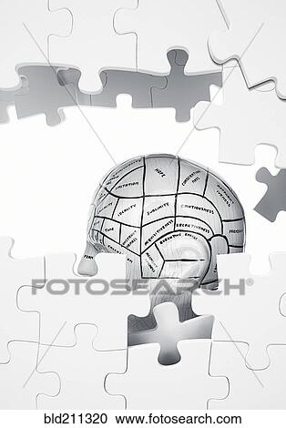 Jigsaw puzzle of sections of brain View Large Photo Image Stock Image - Jigsaw puzzle of sections of brain. Fotosearch