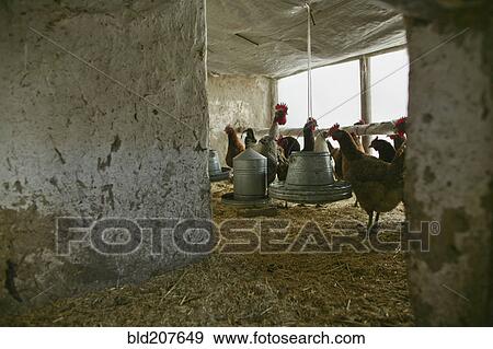 Stock Photo - Kabul, Afghanistan. Fotosearch