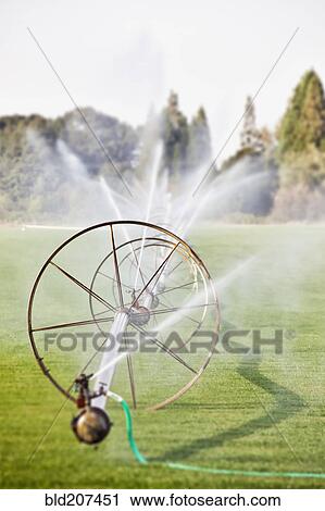 Large water sprinklers and commercial horticultural watering system View Large Photo Image Stock Image - Large water sprinklers and commercial horticultural watering system. Fotosearch
