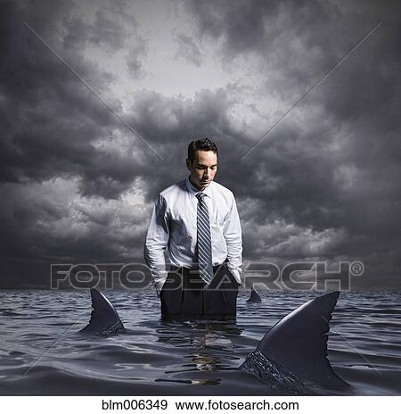 Latin businessman standing in shark infested waters View Large Photo Image Stock Photo - Latin businessman standing in shark infested waters. Fotosearch
