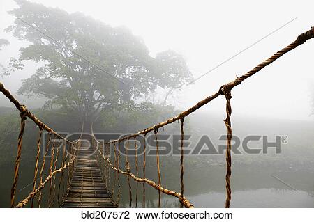Long Rope Bridge View Large Photo Image Stock Image - Long Rope Bridge. Fotosearch