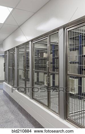 Metal doors of empty cages in animal shelter View Large Photo Image Picture - Metal doors of empty cages in animal shelter. Fotosearch