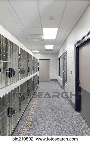 Stock Image - Metal doors of empty cages in animal shelter. Fotosearch