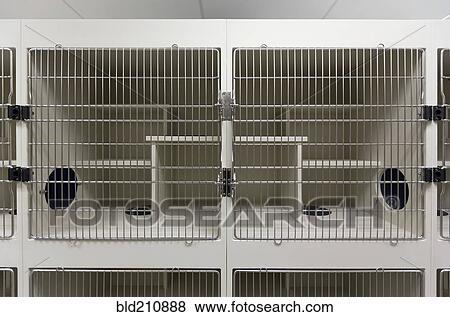 Metal doors of empty cages in animal shelter View Large Photo Image Stock Photo - Metal doors of empty cages in animal shelter. Fotosearch
