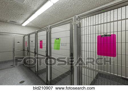 Metal doors of empty cages in animal shelter View Large Photo Image Stock Photo - Metal doors of empty cages in animal shelter. Fotosearch