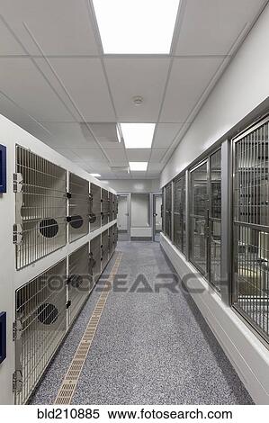 Stock Photography - Metal doors of empty cages in empty animal shelter. Fotosearch