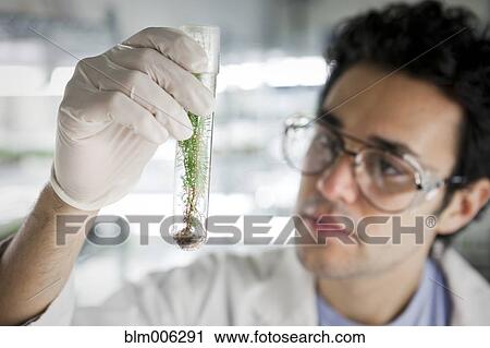 Stock Image - Middle Eastern scientist holding specimen in vial. Fotosearch