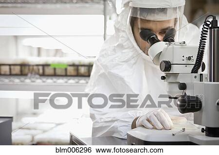 Middle Eastern scientist using microscope in laboratory View Large Photo Image Stock Photograph - Middle Eastern scientist using microscope in laboratory. Fotosearch