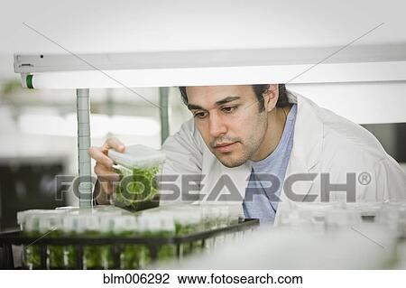 Stock Image - Middle Eastern scientist working in laboratory. Fotosearch