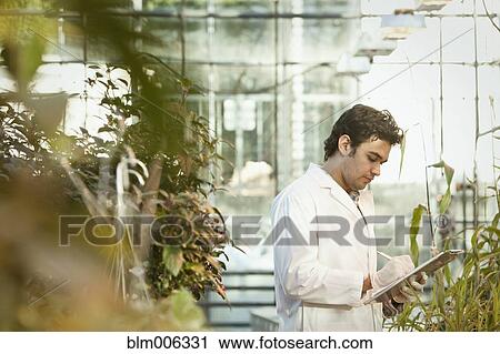 Stock Image - Middle Eastern scientist working in greenhouse. Fotosearch
