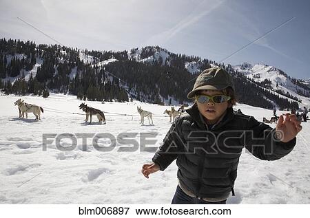 Stock Photo - Mixed race boy in snow with dogs and dogsled. Fotosearch