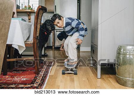 Mixed race boy riding skateboard in kitchen View Large Photo Image Stock Image - Mixed race boy riding skateboard in kitchen. Fotosearch