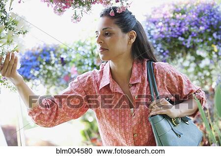 Mixed race woman shopping in garden nursery View Large Photo Image Stock Image - Mixed race woman shopping in garden nursery. Fotosearch