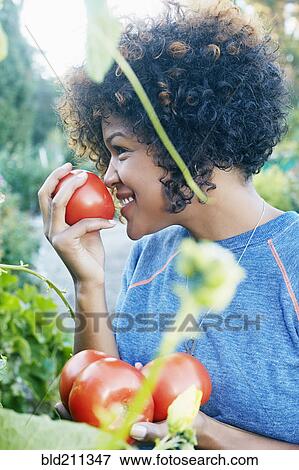 Stock Photo - Mixed race woman smelling tomatoes in garden. Fotosearch