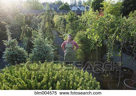 Stock Photography - Mixed race woman working in garden nursery. Fotosearch