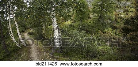Stock Photograph - Mountain path, Mt. Blanc, France. Fotosearch