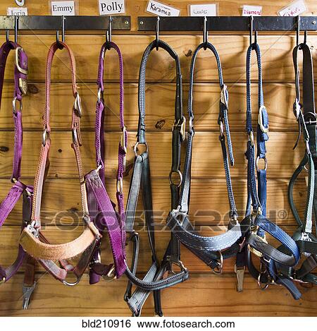 Reins hanging from stalls in barn View Large Photo Image Stock Photograph - Reins hanging from stalls in barn. Fotosearch
