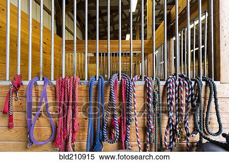 Ropes hanging from stalls in barn View Large Photo Image Stock Photography - Ropes hanging from stalls in barn. Fotosearch
