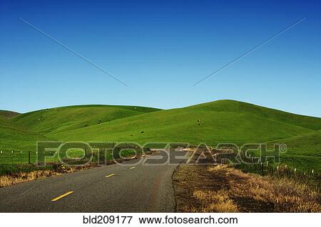 Stock Photo - Rural road through rolling green hills. Fotosearch