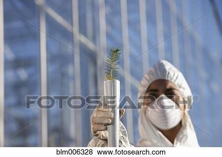 Scientist in clean suit holding tree seedling View Large Photo Image Stock Photo - Scientist in clean suit holding tree seedling. Fotosearch