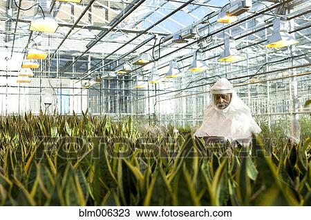 Stock Image - Scientist in clean suit working in greenhouse. Fotosearch