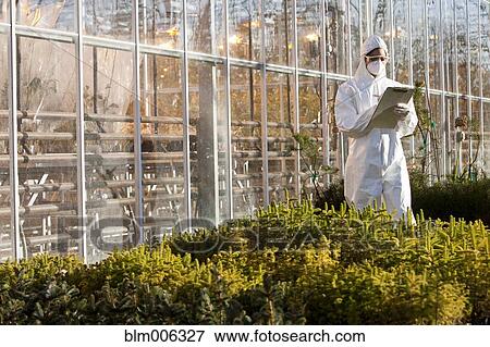 Scientist in clean suit working in greenhouse View Large Photo Image Stock Photo - Scientist in clean suit working in greenhouse. Fotosearch