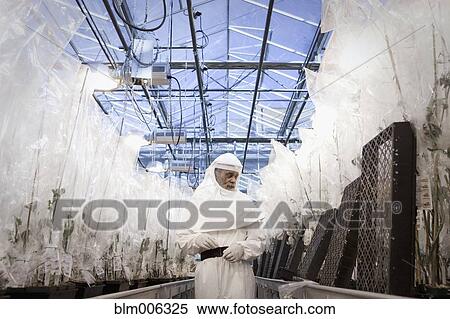 Stock Photography - Scientist in clean suit working in greenhouse. Fotosearch