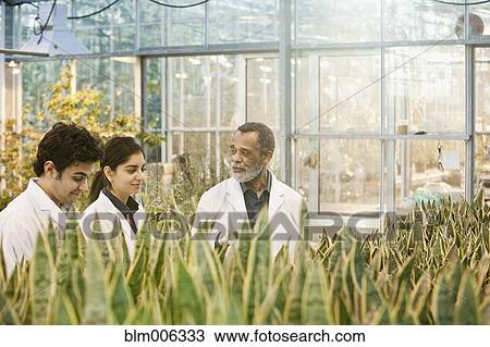 Scientists working in greenhouse View Large Photo Image Stock Image - Scientists working in greenhouse. Fotosearch