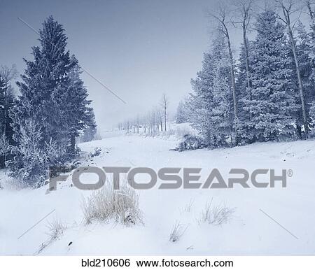 Stock Photograph - Snowy landscape. Fotosearch