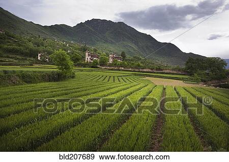 Tibet View Large Photo Image Stock Photo - Tibet. Fotosearch