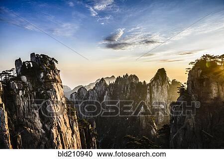 Stock Image - Trees growing on rocky mountains, Huangshan, Anhui, China. Fotosearch
