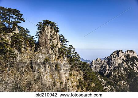 Stock Image - Trees growing on rocky mountains, Huangshan, Anhui, China. Fotosearch