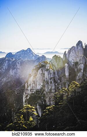 Stock Photography - Trees growing on rocky mountains, Huangshan, Anhui, China. Fotosearch