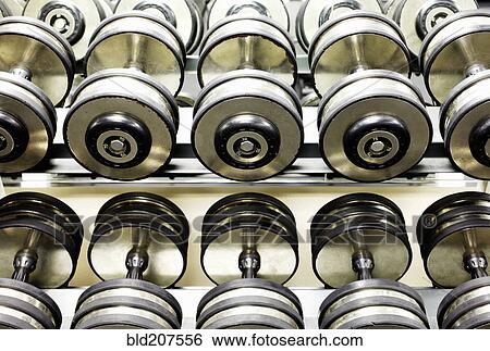 Two Rows of Dumbbells View Large Photo Image Stock Photograph - Two Rows of Dumbbells. Fotosearch