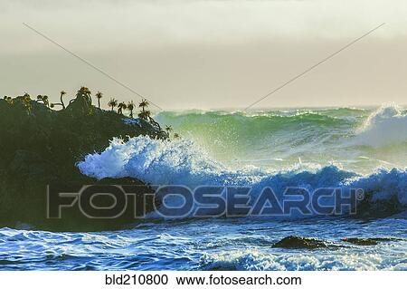 Stock Image - Waves crashing on cliffs, Bodega Bay, California, United States. Fotosearch