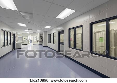 Windows and doors in empty animal shelter View Large Photo Image Stock Photograph - Windows and doors in empty animal shelter. Fotosearch