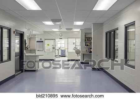 Windows and doors in empty animal shelter View Large Photo Image Stock Photography - Windows and doors in empty animal shelter. Fotosearch