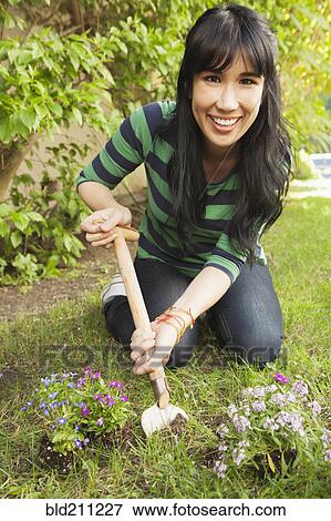 Woman planting flowers outdoors View Large Photo Image Stock Photo - Woman planting flowers outdoors. Fotosearch