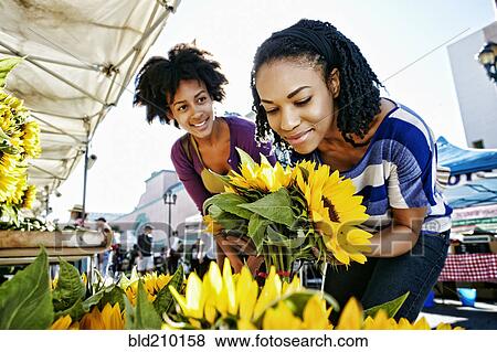 Stock Photo - Women shopping together at flower stand. Fotosearch