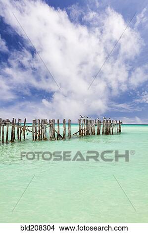 Picture - Wooden fence extending into ocean. Fotosearch