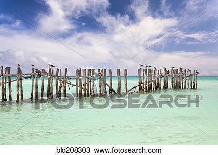 Stock Image - Wooden fence extending into ocean. Fotosearch